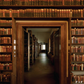 Library Reading Room Shelves Backdrop Background SBH0521