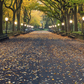 Autumn Central Park Literary Walk Photography Backdrop SBH0621