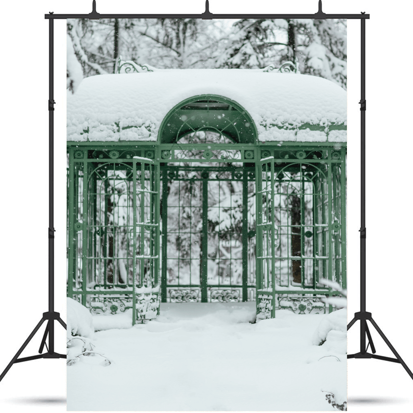 Cold Snowy Winter Weather Backdrop for Photography SBH0296