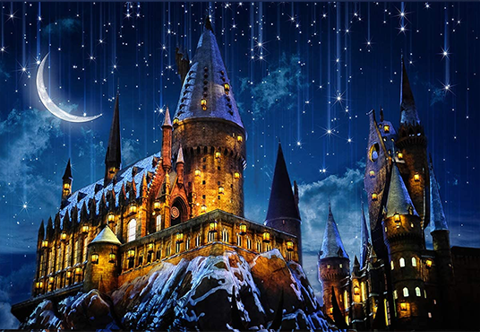 Hogwarts Harry Potter Backdrop Studio Background Banner Photo Party Prop  Decor