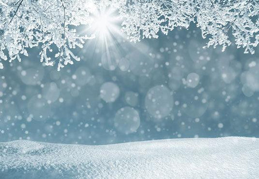 Winter Christmas Snowflake Pine Branch Photography Backdrop