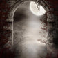 Halloween Door Bright Moon Branches Photography Backdrops
