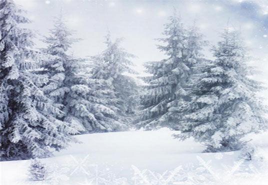 Snow Forest Winter Backdrop for Photo