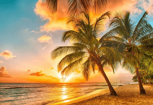 Sunset Sand Beach Blue Ocean Green Plant Backdrop for Seaside Photography