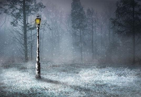 Winter Snow Street Light Forest Photo Booth Backdrop Prop