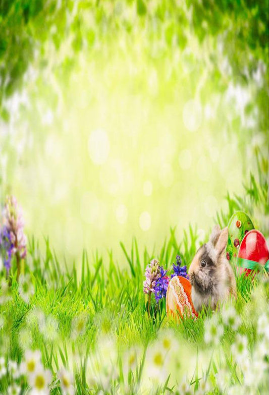 Bokeh Easter Backdrop Green Grass And Rabbit Photography Background