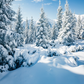 Winter Snowy Landscape Backdrops Photo Studio Props SBH0302