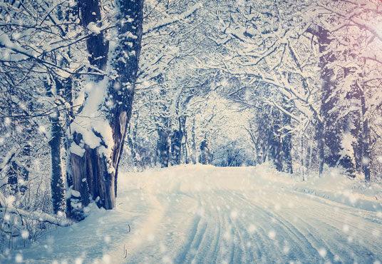 Snow Road Winter Branches Photography Backdrop