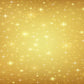 Light Gold Sliver Stars Photo Backdrops for Studio