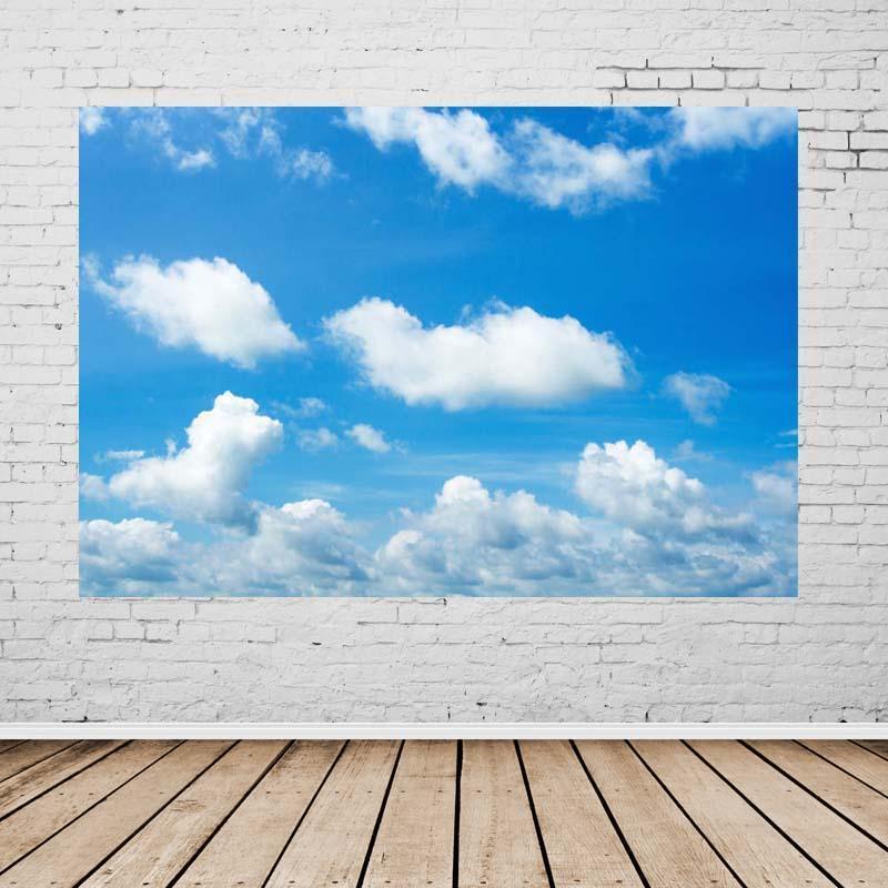 Blue sky and White Clouds Backdrop For Party Photography