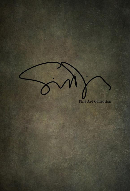 Simon Diez  Dark Abstract Art Portrait Backdrop for Photography Prop