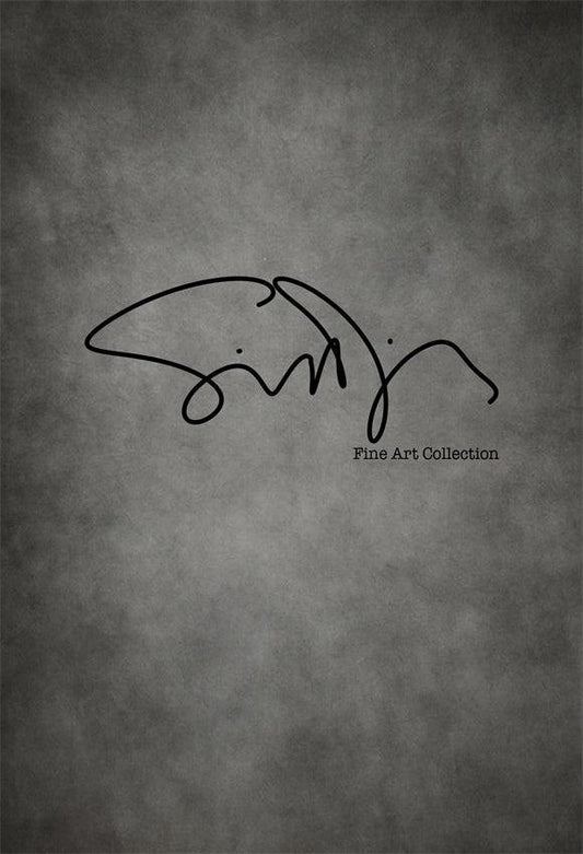 Simon Diez Grey Abstract Art Portrait Backdrop for Photography