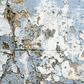Extremely Weathered Background Grunge Backdrop for Photography SBH0172