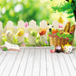 Spring Wood Floor Fence Happy Easter Backdrops