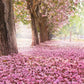 Beautiful Pink Flowers Road Backdrop For Celebrate Mother's Day