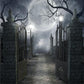 Door of hell Bright Moon Halloween Photography Backdrops
