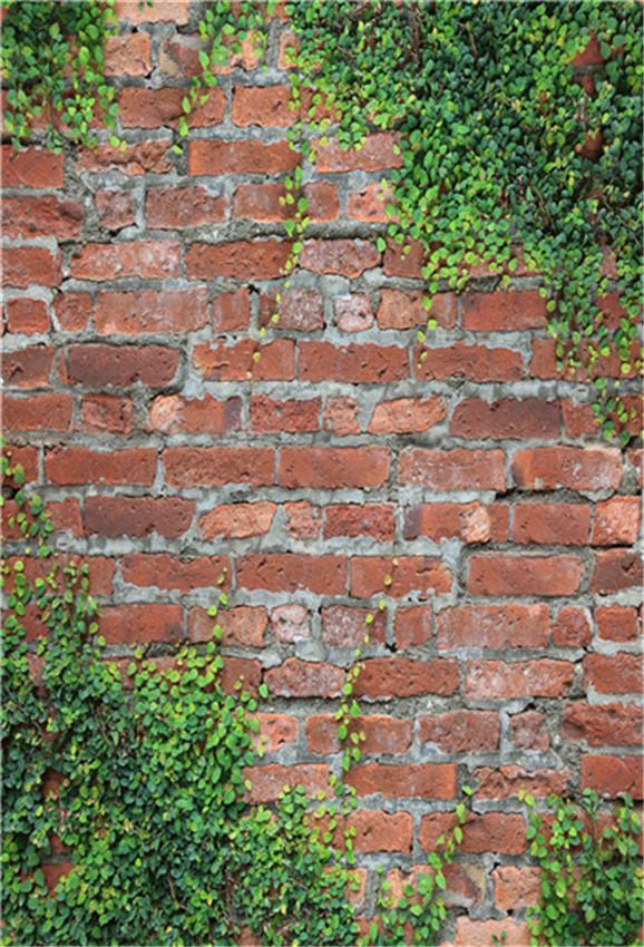 Red Brick Wall Green Leaves Vintage Backdrop