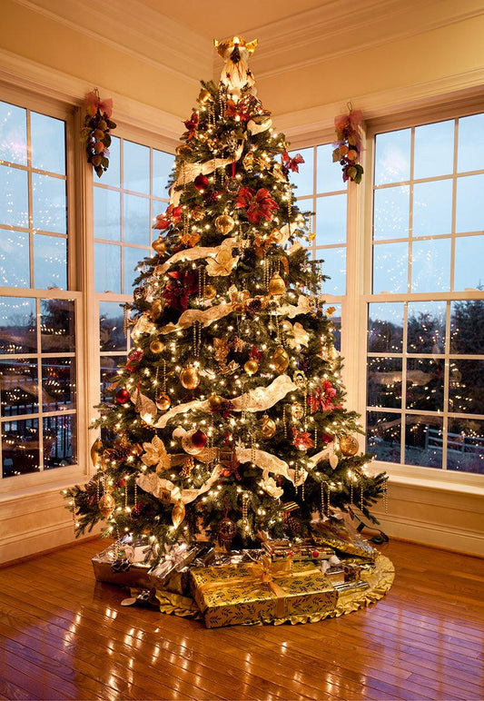 Bright Luxury Window Christmas Photography Backdrops