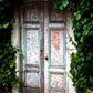 Spring Leaves Wood Door Vintage Architecture Photography Backdrops