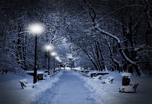 Night Winter Road Photography Backdrop Christmas Background