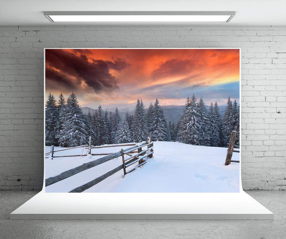 White Snow Cover Forest Photography Backdrop Winter Background