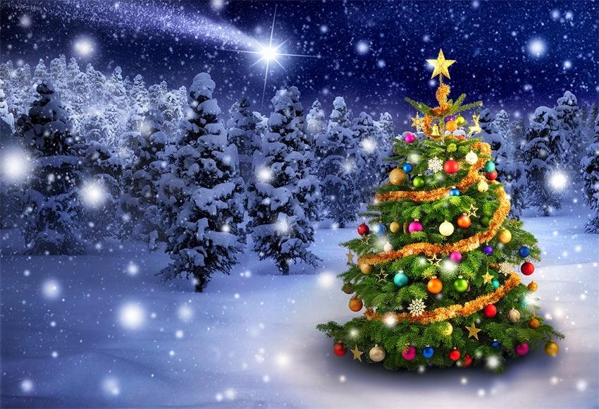 Winter Christmas Tree Snow Forest for Photo