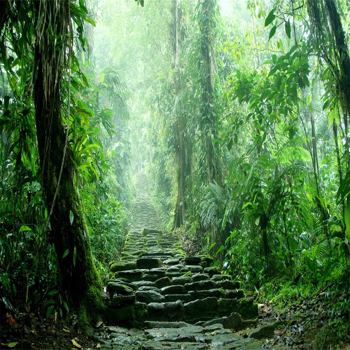 Tropical Forest Spring Green Tree Backdrop for Photography