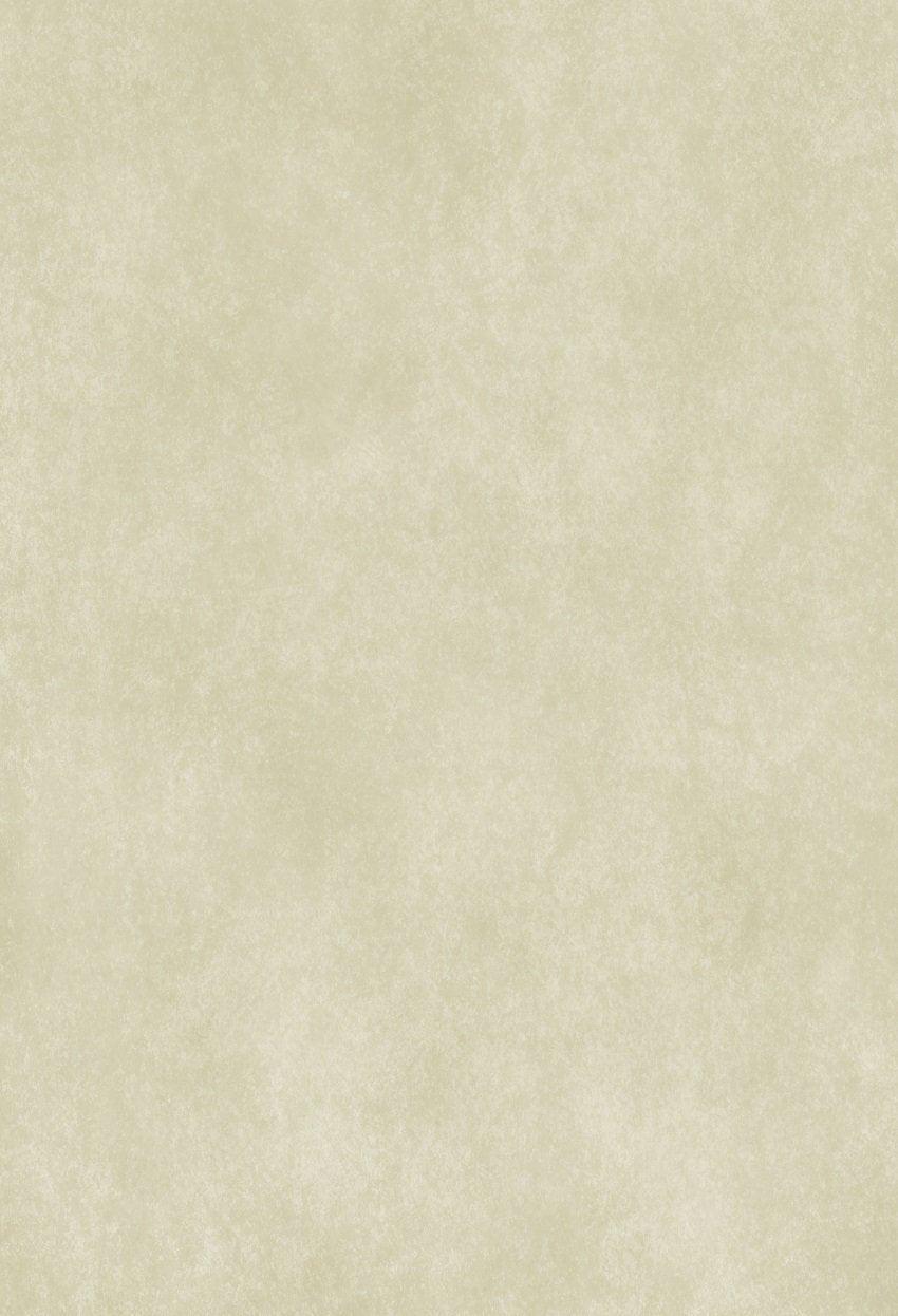 Portrait Light Abstract Backdrop for Photographer