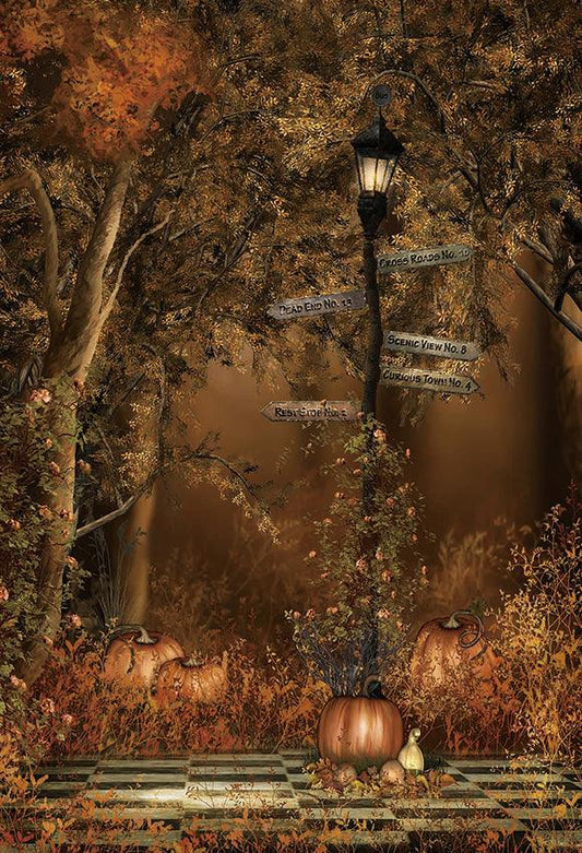 Fall Forest Pumpkin Photo Studio Backdrops