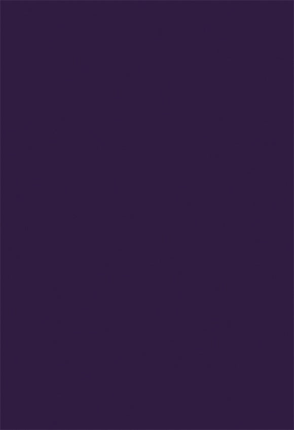 Purple Solid Color Photo Backdrop for Studio