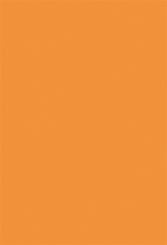 Orange Solid Fabric Backdrop for Photography Prop