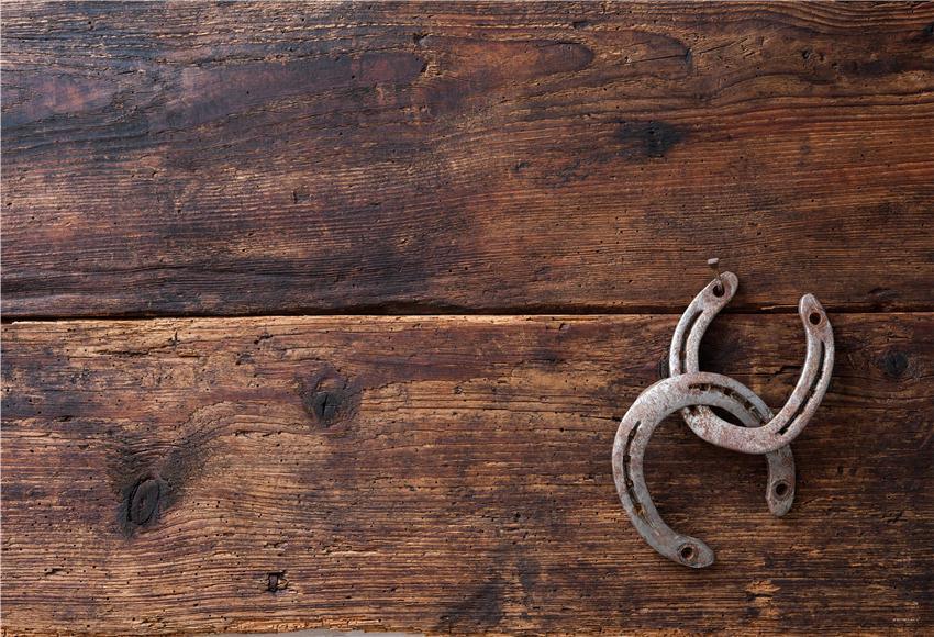 Brown Wood Wall Tool Barn Photography Backdrop for Picture