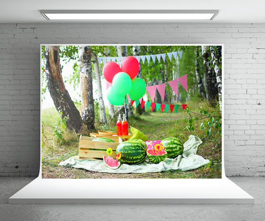 Watermelon Flag Garden Summer Backdrop for Photo Prop