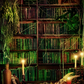 Magic Witch's Lair With Books Photography Backdrop SBH0400