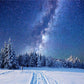 Winter Snow of Night Photography Backdrop