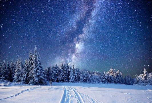 Winter Snow of Night Photography Backdrop