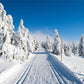 Mountain Snow Blue Sky Winter Photography Backdrop