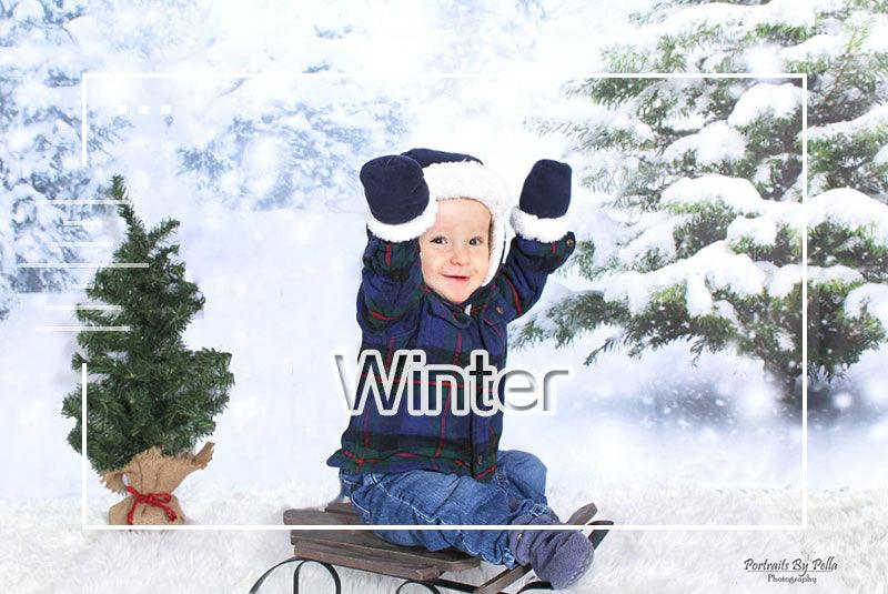 Winter Backdrops