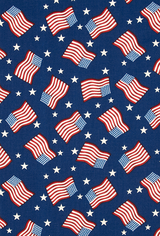 America Flags Patriotic Backdrop For Photo SBH0472