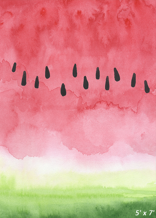 Abstract Summer Watermelon Backdrop for Photo SBH0479