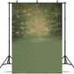 Spring Scenic Oil Painting Backdrop for Photo SBH0480