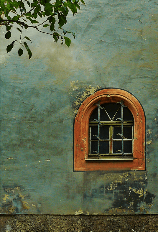 Green Wall With Window Backdrop for Photography SBH0481