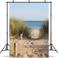 Beach Sand Dunes Access Path Photo Background SBH0485