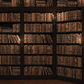 Vintage Library Bookshelf Backdrop for Photo Studio SBH0523