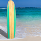 Surfing Boards With Beach Fabric Backdrop SBH0532