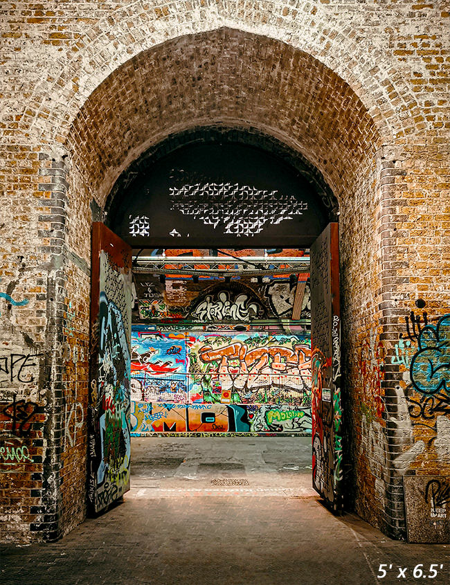 Urban Graffiti Arches Background for Photo SBH0536