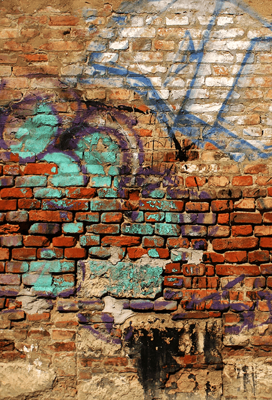 Urban Graffiti Street Wall Backdrop for Photography SBH0565