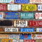 American Historical License Plate Background Backdrop SBH0569
