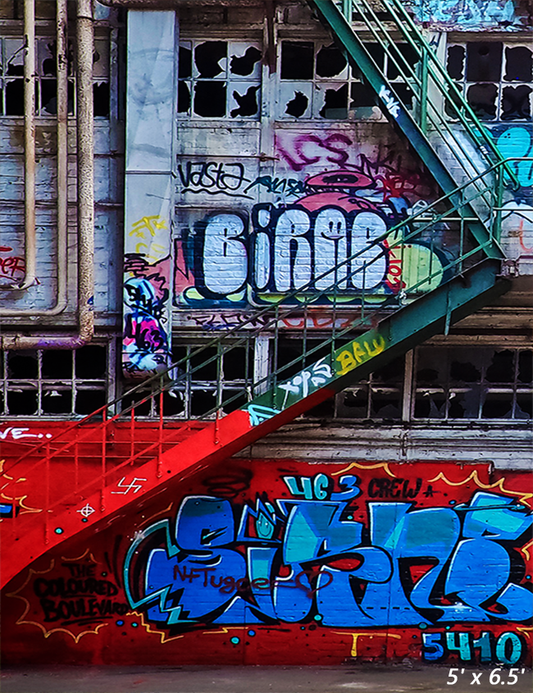 Staircase Graffiti Background Backdrop for Photo SBH0571