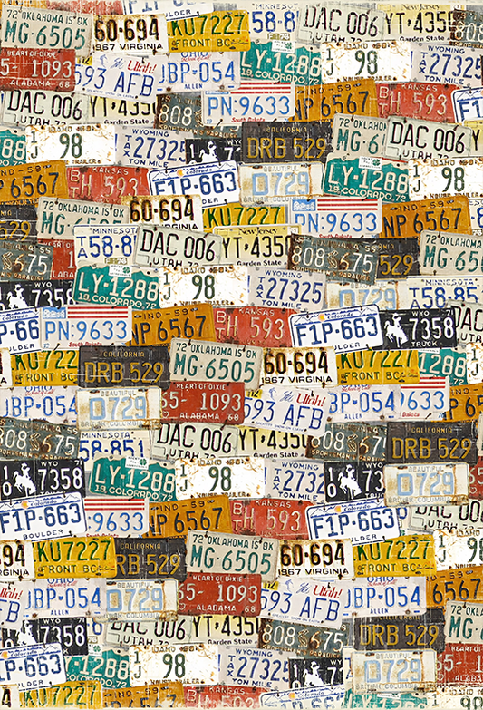Vintage License Plates Background backdrop for Photo SBH0577